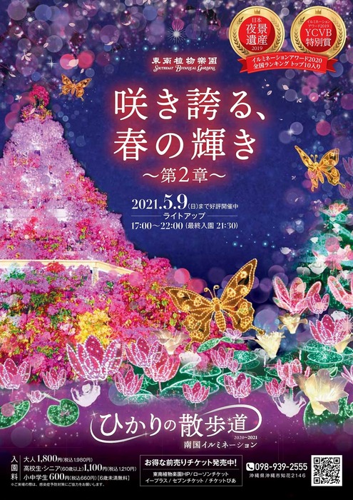 東南植物楽園イルミネーション ひかりの散歩道 21 イベント一覧 沖縄市観光ポータルコザウェブ Kozaweb
