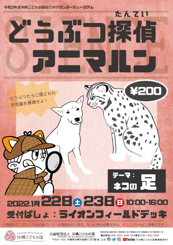 1/22、23 どうぶつ探偵アニマルン~どうぶつ図鑑を作ろう 1月のテーマ:ネコの足~@ワンダーミュージアム(沖縄こどもの国)