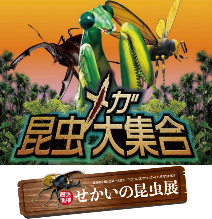 巨型昆虫齐聚一堂&世界昆虫展@东南植物乐园