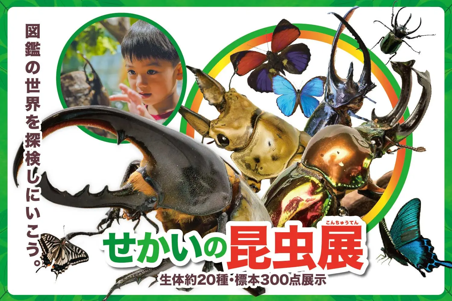 兒童超人氣 世界昆蟲展!@美麗椰公園沖繩・東南植物樂園