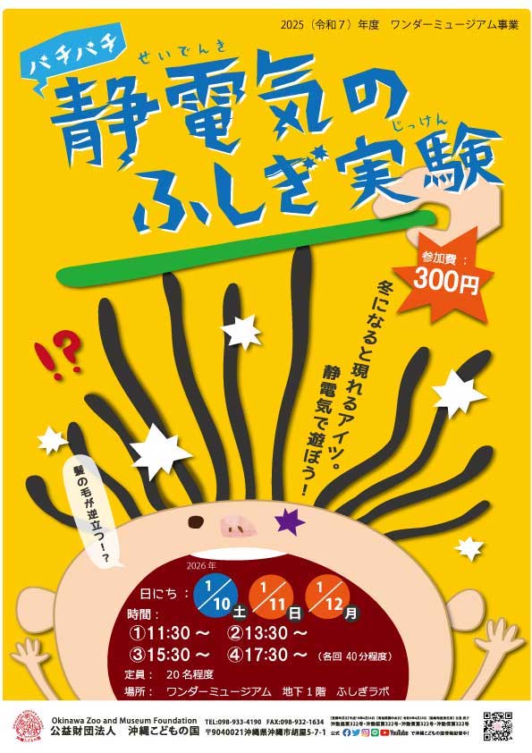 [1/10 - 1/12] パチパチ 静電気のふしぎ実験@ワンダーミュージアム（沖縄こどもの国）