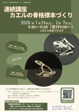 [1/31, 2/7] Continuous Workshop: Making a Frog Skeleton Specimen @ Children’s Center (Okinawa Zoo and Museum)