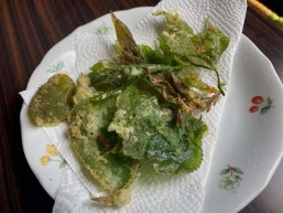 [3/8] 野草を味わおう@沖縄こどもの国チルドレンズセンター2階