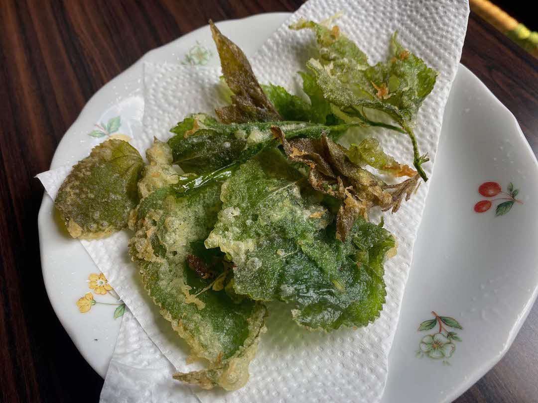 [3/8] 野草を味わおう@沖縄こどもの国チルドレンズセンター2階