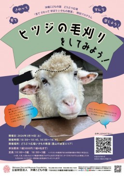 [3/14] どうぶつ広場特別ワークショップ「ヒツジの毛刈りをしてみよう！」＠沖縄こどもの国