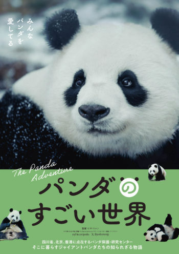 [4/24-5/17] 映画『パンダのすごい世界』@シアタードーナツ