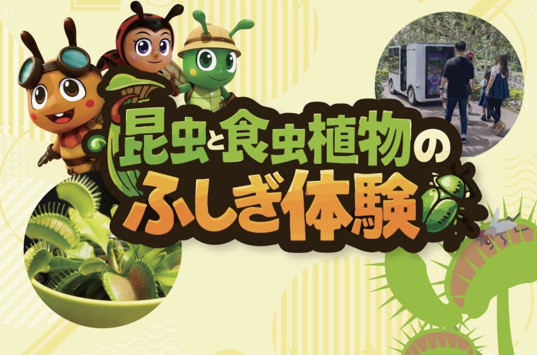 [4/29・5/2-6・5/9-10] 昆虫と食虫植物 のふしぎ体験！＠東南植物楽園