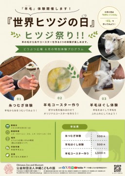 [6/6] 動物廣場特別工作坊「世界綿羊日 綿羊祭！！」＠沖繩兒童王國