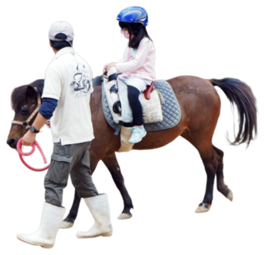 ヨナグニウマ乗馬体験
