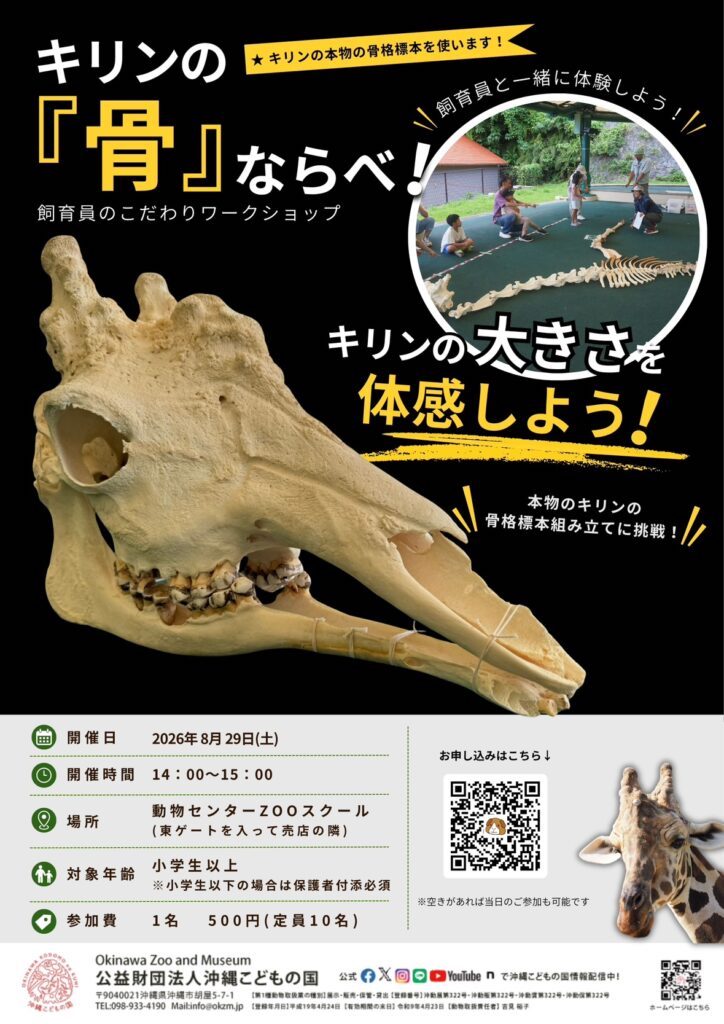 [8/29] 飼育員こだわりワークショップ「キリンの骨ならべ！」 in 沖縄こどもの国