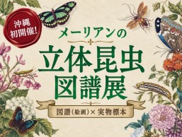[10/3 - ] メーリアンの立体昆虫図譜展@美らヤシパークオキナワ・東南植物楽園