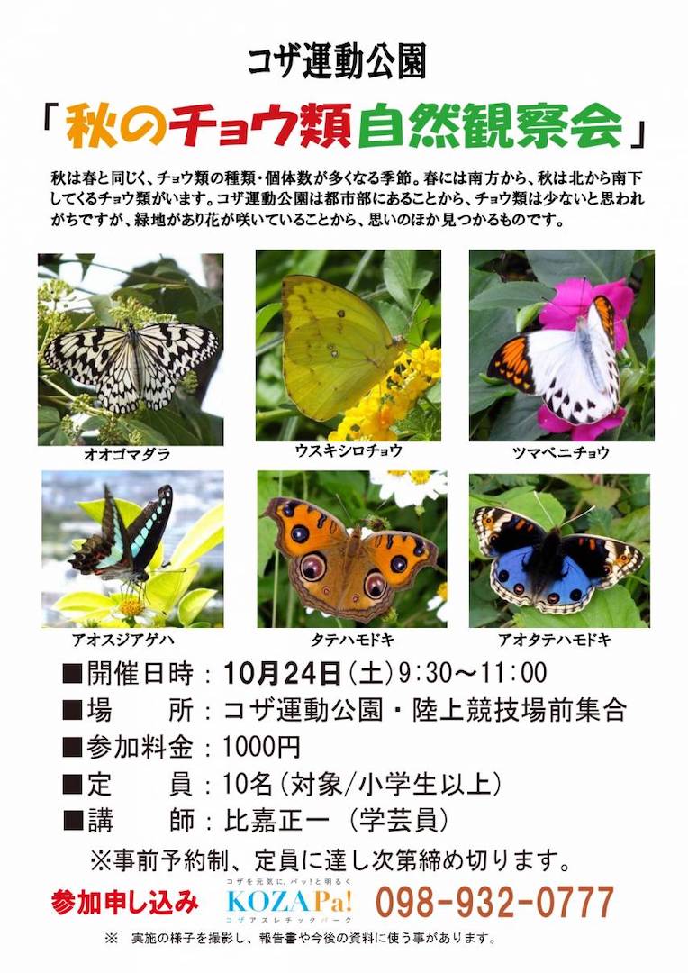 [10/24] 秋のチョウ類自然観察会@コザ運動公園