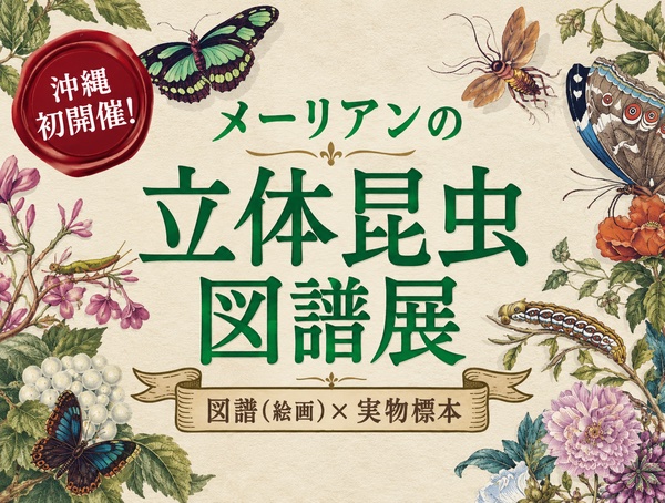 [10/3 - ] メーリアンの立体昆虫図譜展@美らヤシパークオキナワ・東南植物楽園